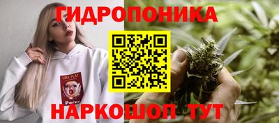 мескалин Гай
