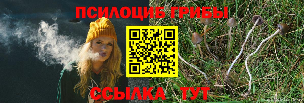 Псилоцибиновые грибы Magic Shrooms  Вход с VPN  Шебекино 