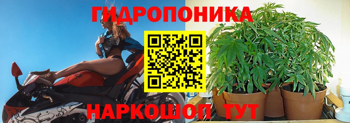 Бошки Шишки семена  Бошки Шишки ГИДРОПОН  Вход с VPN  Шебекино  Бошки марихуана сатива 